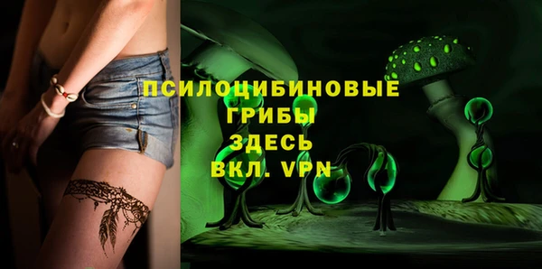 не бодяженный Новозыбков