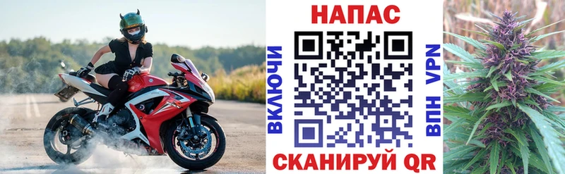 Бошки Шишки ГИДРОПОН  наркошоп  Пущино 